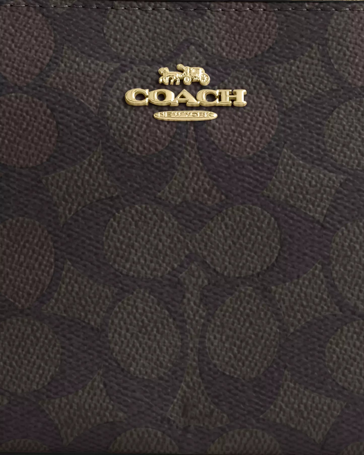Coach Nolita 19 In Signature Canvas Lebanon